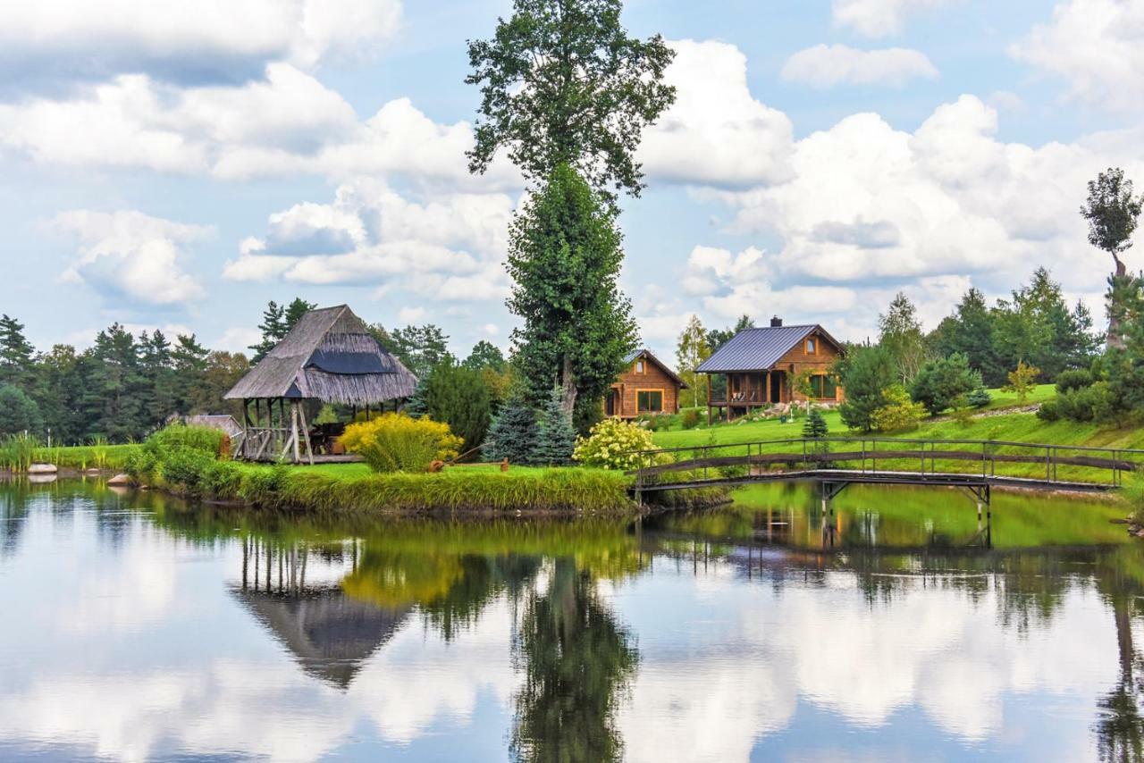 Vip Forest Dreams Villa Anykščiai Exterior foto
